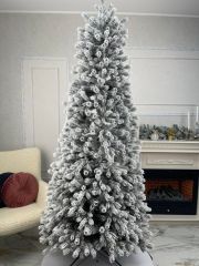 Ель Конусная Заснеженная 160 см